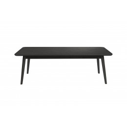 Konferenční stůl FABIO WLL 60x120  cm, jasan černý