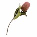 Umělá rostlina KING PROTEA BOUQUET růžová 75 cm