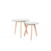 SIDE TABLE BROR SET OF 2